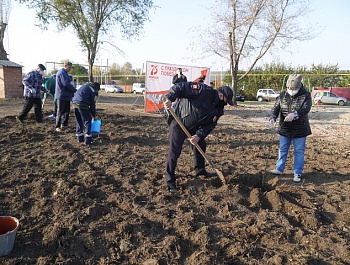 На территории ТОС 2 села Новопавловка 05 ноября 2020г. открыли дворовую спортивную площадку и высадили "Сад Памяти".